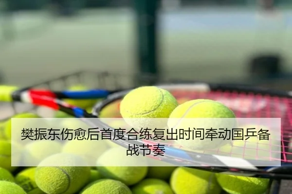 樊振东伤愈后首度合练复出时间牵动国乒备战节奏